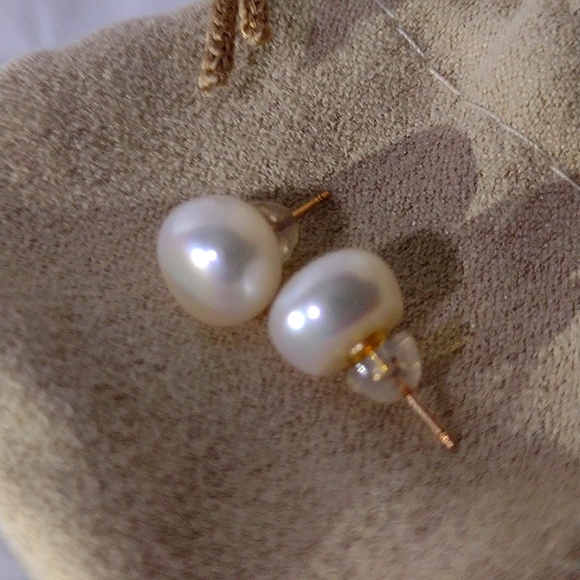10K Cultured Freshwater Pearl Earrings 2.81gms. 10mm Yellow Gold NWT - Picture 4 of 7